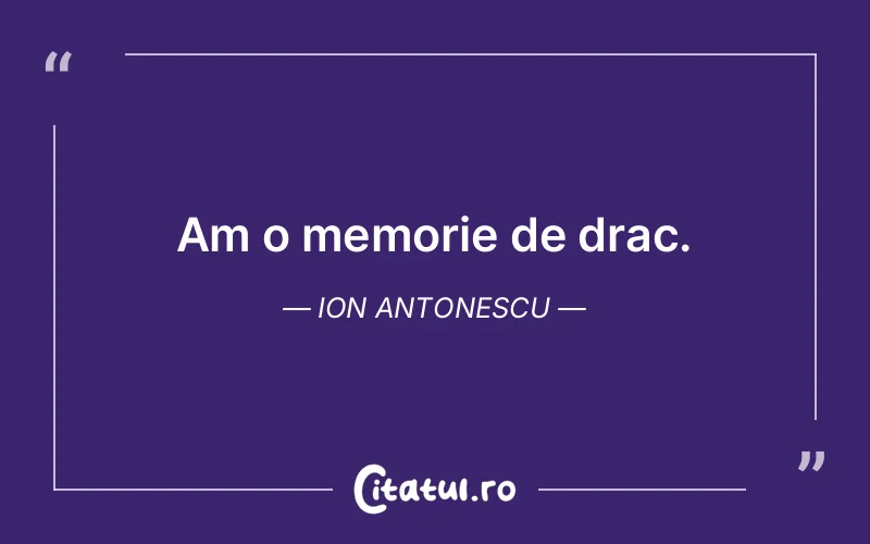Citat Ion Antonescu - citate amuzante
