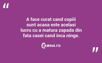 A face curat cand copiii sunt acasa este acelasi lucru cu a matura zapada din fata casei cand inca ninge.  ...
