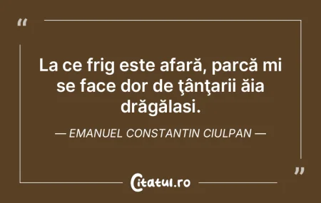 La ce frig este afară, parcă mi se fac...