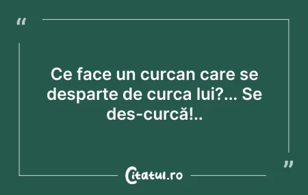 Citeste si: Ce face un curcan care se desparte de cu...