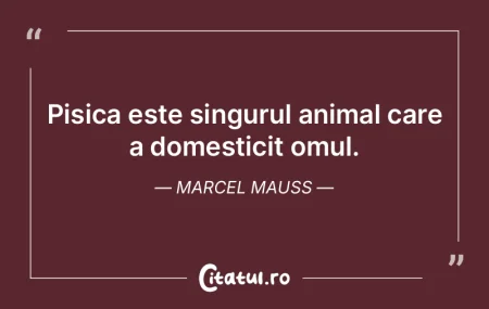 Pisica este singurul animal care a domes...