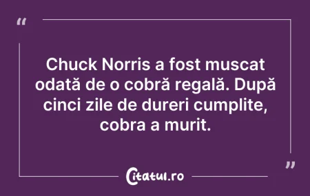 Citeste si: Chuck Norris a fost mușcat odată de o co...