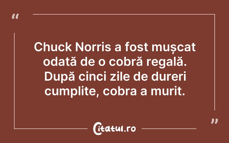 Citat Autor necunoscut - citate amuzante