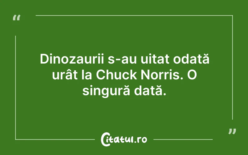 Dinozaurii s-au uitat odată urât la Chuck Norris. O singură dată.