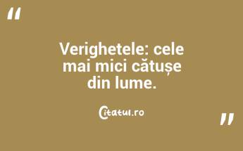 Verighetele: cele mai mici cătușe din lume. ...