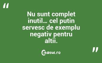 Nu sunt complet inutil… cel puțin servesc de exemplu negativ pentru alții. ...