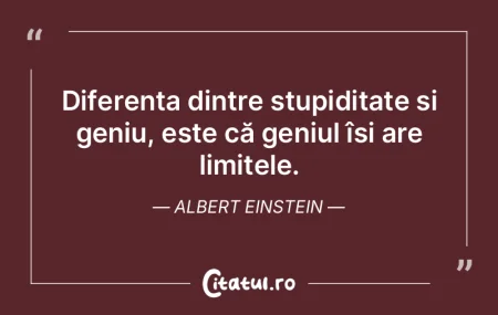 Diferența dintre stupiditate și geniu,...