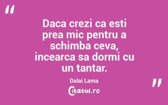Daca crezi ca esti prea mic pentru a schimba ceva, incearca sa dormi cu un tantar. Dalai Lama...