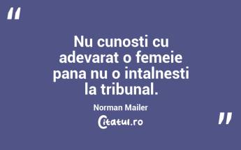 Nu cunosti cu adevarat o femeie pana nu o intalnesti la tribunal. Norman Mailer...