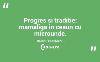 Progres si traditie: mamaliga in ceaun cu microunde. Valeriu Butulescu...