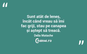Sunt atât de leneș, încât când vreau să îmi fac griji, stau pe canapea și aștept să treacă. Delia Matache...