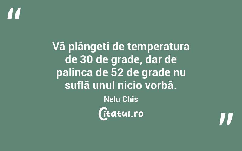 Vă plângeți de temperatura de 30 de grade, dar de palinca de 52 de grade nu suflă unul nicio vorbă. Nelu Chis