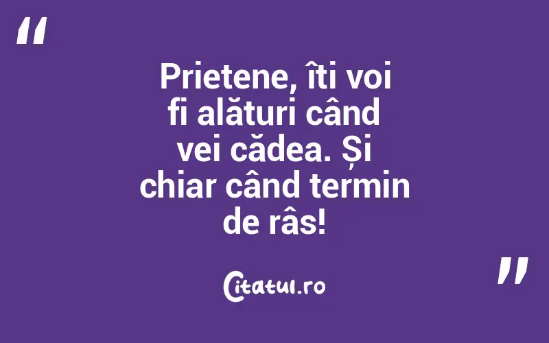 Prietene, îți voi fi alături când vei cădea. Și chiar când termin de râs!