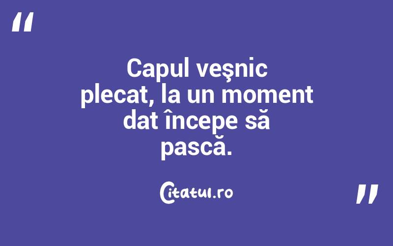 Capul veşnic plecat, la un moment dat începe să pască.
