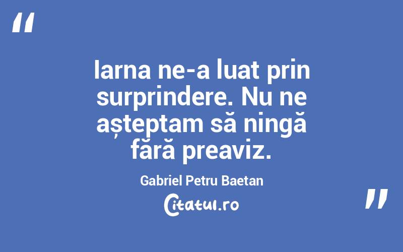 Iarna ne-a luat prin surprindere. Nu ne așteptam să ningă fără preaviz. Gabriel Petru Baetan