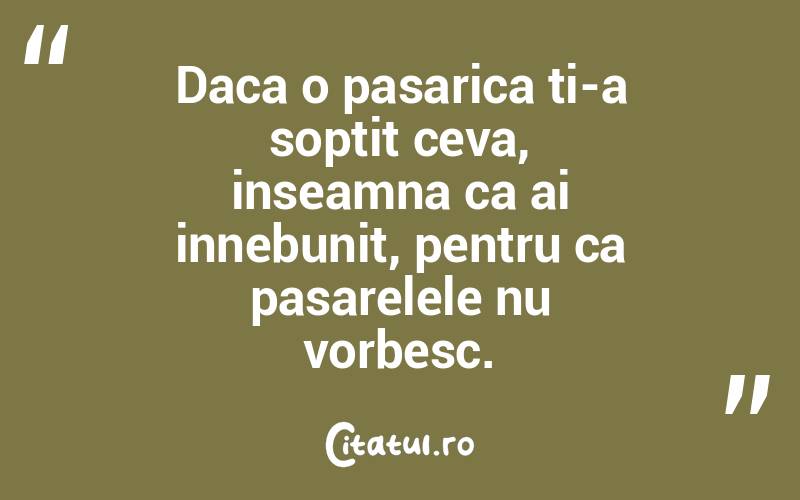 Daca o pasarica ti-a soptit ceva, inseamna ca ai innebunit, pentru ca pasarelele nu vorbesc.