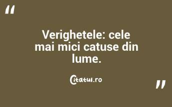 Verighetele: cele mai mici catuse din lume. ...