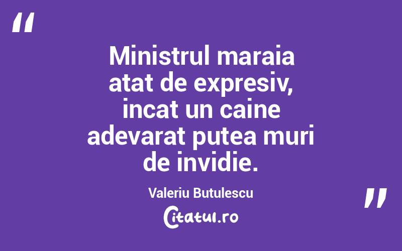Ministrul maraia atat de expresiv, incat un caine adevarat putea muri de invidie. Valeriu Butulescu