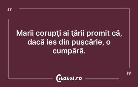 Marii corupţi ai ţării promit că, da...