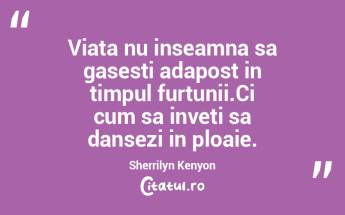 Viata nu inseamna sa gasesti adapost in ... Viata nu inseamna sa gasesti adapost in ...