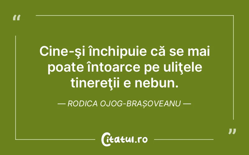 Cine-şi închipuie că se mai poate întoarce pe uliţele tinereţii e nebun. Rodica Ojog-Brașoveanu