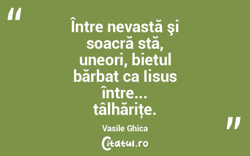 Între nevastă şi soacră stă, uneori, bietul bărbat ca Iisus între... tâlhăriţe. Vasile Ghica