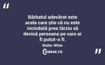 Bărbatul adevărat este acela care știe că nu este niciodată prea târziu să devină persoana pe care ar fi putut-o fi. Walter White...