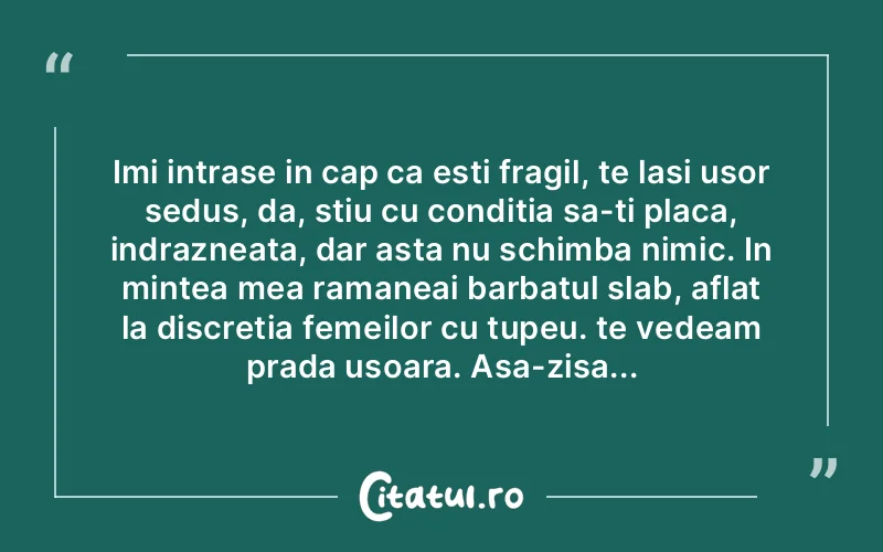 Imi intrase in cap ca esti fragil, te lasi usor sedus, da, stiu cu conditia sa-ti placa, indrazneata, dar asta nu schimba nimic. In mintea mea ramaneai barbatul slab, aflat la discretia femeilor cu tupeu. te vedeam prada usoara. Asa-zisa...