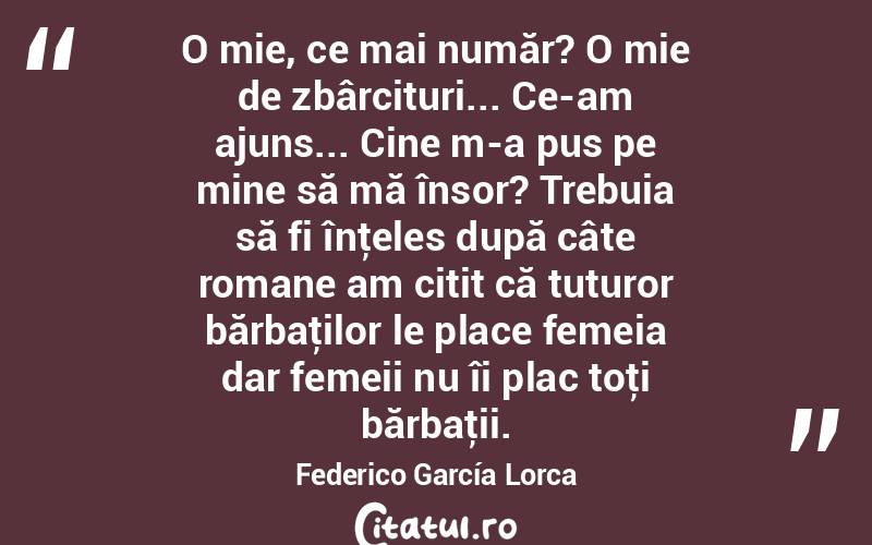 O mie, ce mai număr? O mie de zbârcituri... Ce-am ajuns... Cine m-a pus pe mine să mă însor? Trebuia să fi înţeles după câte romane am citit că tuturor bărbaţilor le place femeia dar femeii nu îi plac toţi bărbaţii. Federico García Lorca
