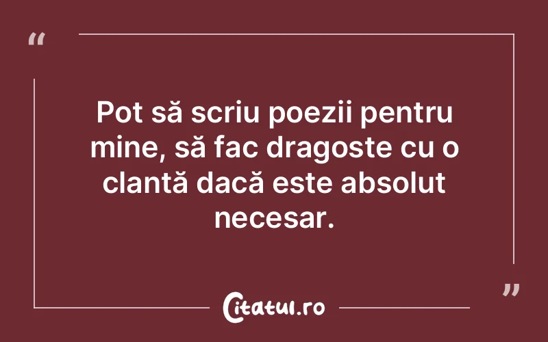 Pot să scriu poezii pentru mine, să fac dragoste cu o clanță dacă este absolut necesar.