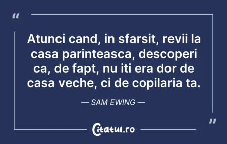 Citeste si: Atunci cand, in sfarsit, revii la casa p...