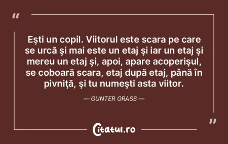 Eşti un copil. Viitorul este scara pe c...