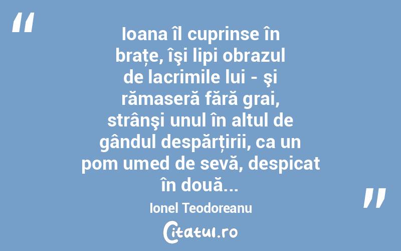 Ioana îl cuprinse în braţe, îşi lipi obrazul de lacrimile lui - şi rămaseră fără grai, strânşi unul în altul de gândul despărţirii, ca un pom umed de sevă, despicat în două... Ionel Teodoreanu