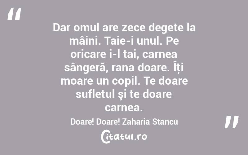 Dar omul are zece degete la mâini. Taie-i unul. Pe oricare i-l tai, carnea sângeră, rana doare. Îţi moare un copil. Te doare sufletul şi te doare carnea. Doare! Doare! Zaharia Stancu
