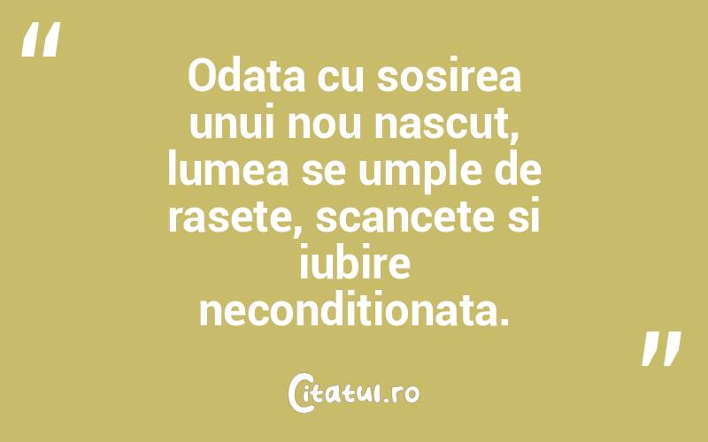 Odata cu sosirea unui nou nascut, lumea se umple de rasete, scancete si iubire neconditionata. 