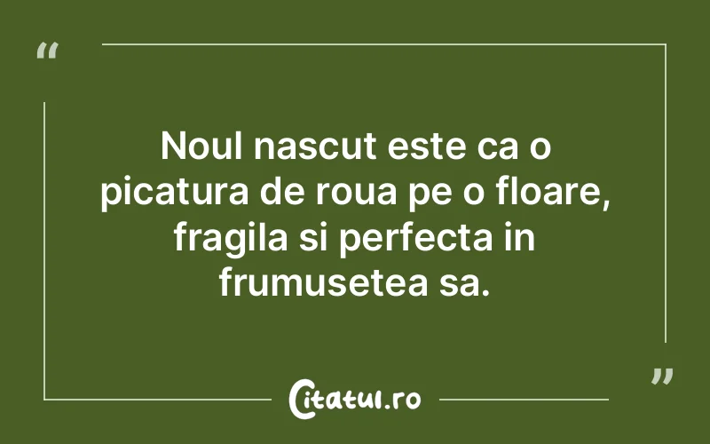 Citat Autor necunoscut - citate copii