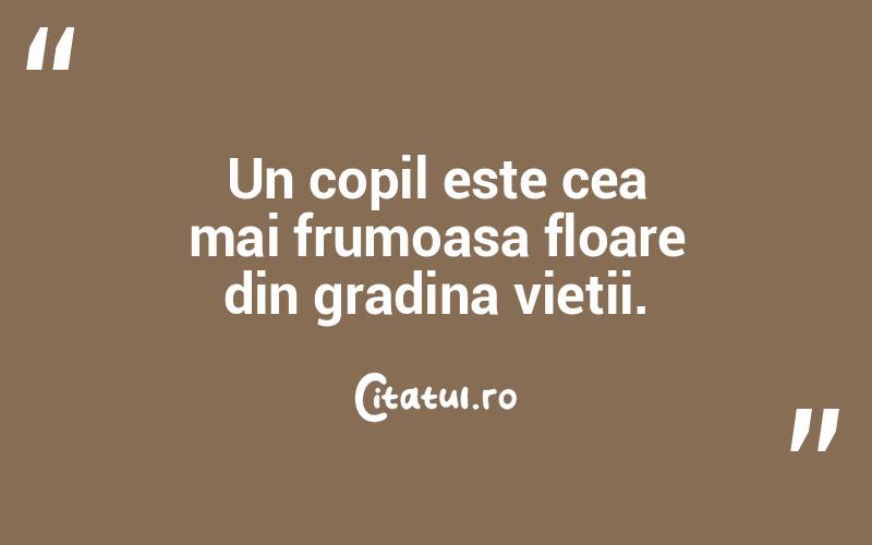 Un copil este cea mai frumoasa floare din gradina vietii. 