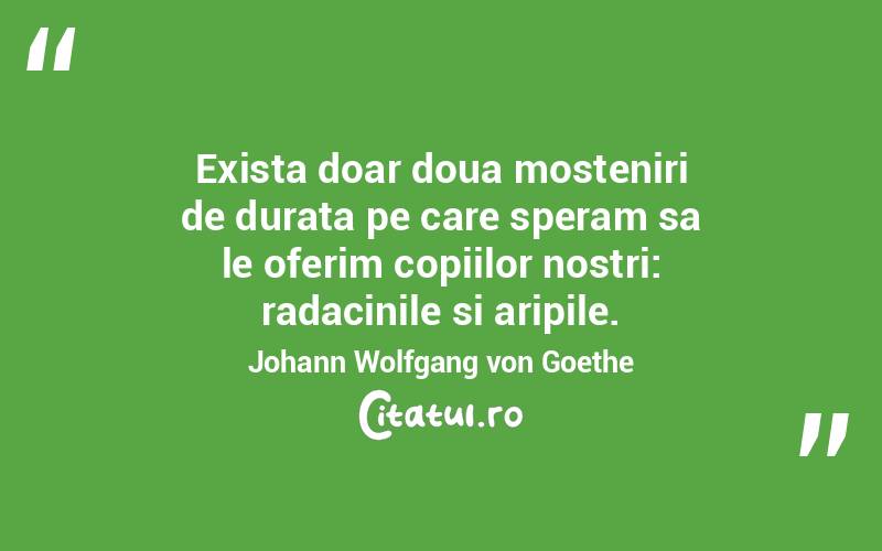 Exista doar doua mosteniri de durata pe care speram sa le oferim copiilor nostri: radacinile si aripile. Johann Wolfgang von Goethe