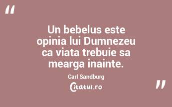Un bebelus este opinia lui Dumnezeu ca v... Un bebelus este opinia lui Dumnezeu ca v...
