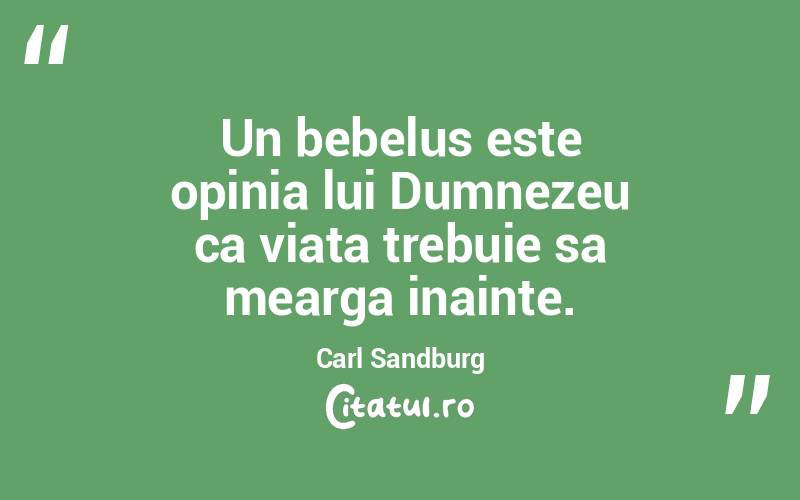 Un bebelus este opinia lui Dumnezeu ca viata trebuie sa mearga inainte. Carl Sandburg