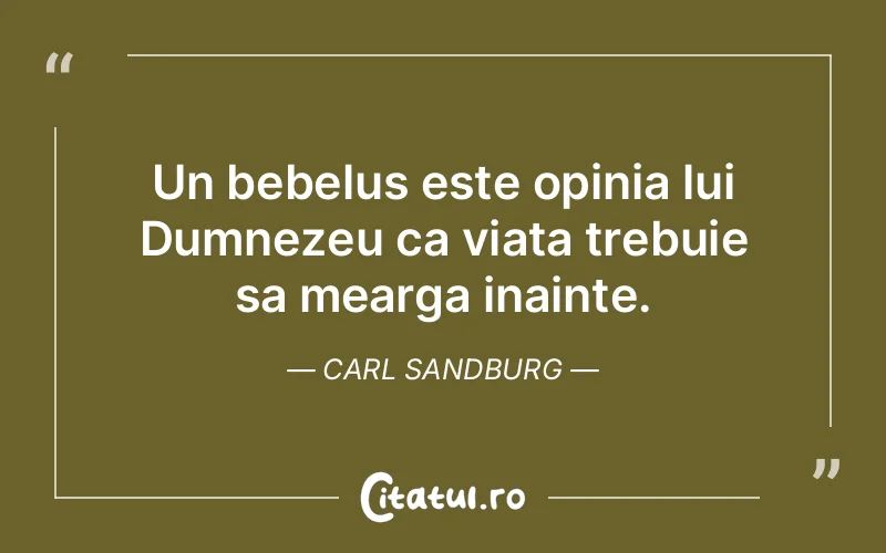 Citat Carl Sandburg - citate copii