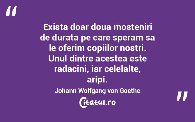 Exista doar doua mosteniri de durata pe care speram sa le oferim copiilor nostri. Unul dintre acestea este radacini, iar celelalte, aripi. Johann Wolfgang von Goethe