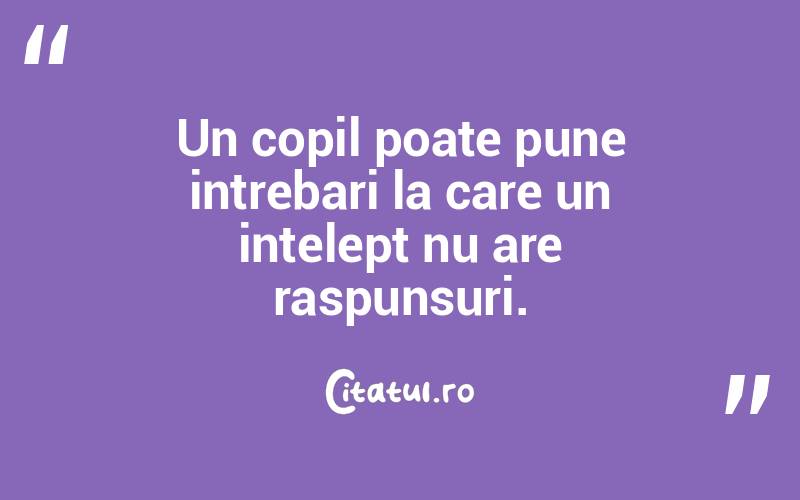 Un copil poate pune intrebari la care un intelept nu are raspunsuri. 