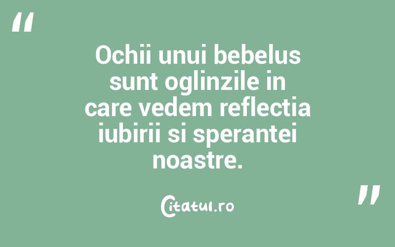Ochii unui bebelus sunt oglinzile in care vedem reflectia iubirii si sperantei noastre. 