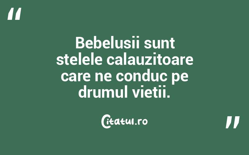 Bebelusii sunt stelele calauzitoare care ne conduc pe drumul vietii. 