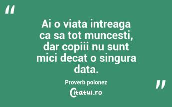 Ai o viata intreaga ca sa tot muncesti, dar copiii nu sunt mici decat o singura data. Proverb polonez...