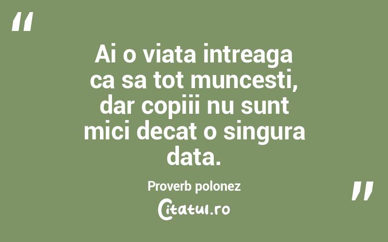 Ai o viata intreaga ca sa tot muncesti, dar copiii nu sunt mici decat o singura data. Proverb polonez
