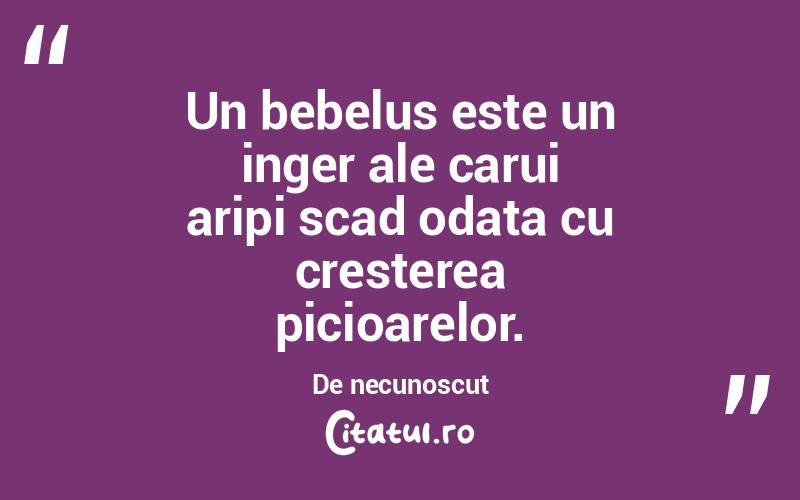 Un bebelus este un inger ale carui aripi scad odata cu cresterea picioarelor. De necunoscut