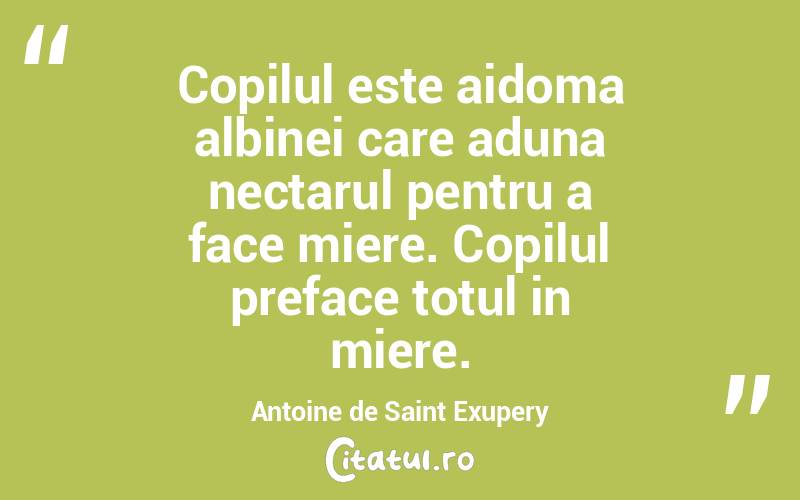 Copilul este aidoma albinei care aduna nectarul pentru a face miere. Copilul preface totul in miere. Antoine de Saint Exupery