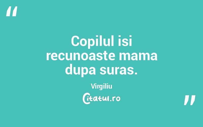 Copilul isi recunoaste mama dupa suras. Virgiliu